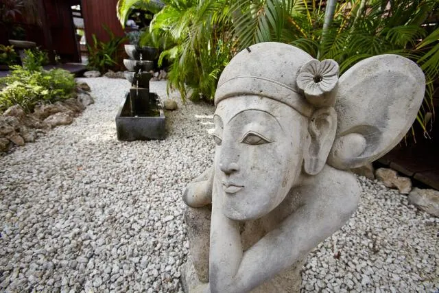  Manchebo Beach Resort and Spa - picture  : Day,Other animals,Decorative detail 