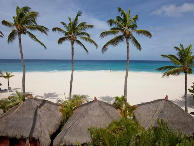  Manchebo Beach Resort and Spa - picture  : Beach,Beach,Sea view,Property 