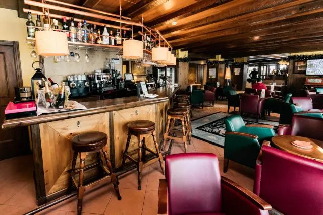  Hotel Ski Plaza & Wellness - picture  : Toilet,Patio 