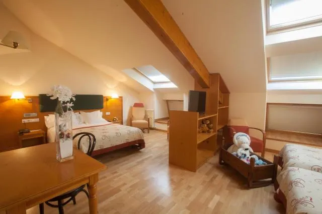  Hotel Bonavida - picture  : Photo of the whole room,Room 