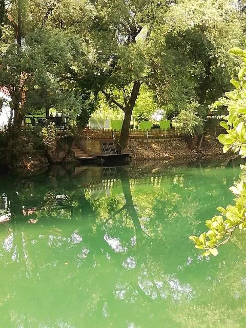  Kuca Delić - picture  : Swimming pool 