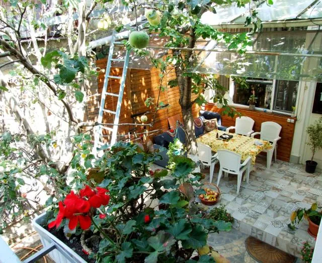 Armine's B&B - picture  : Garden,Balcony/Terrace,Seating area,Garden view,Property 