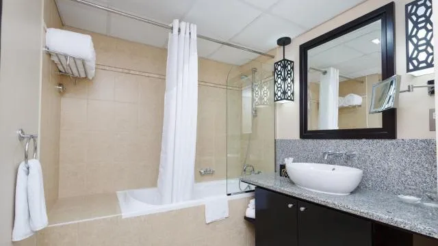 Holiday Inn Dubai Al Barsha, an IHG Hotel - picture  : Bathroom,Bathroom,Property 