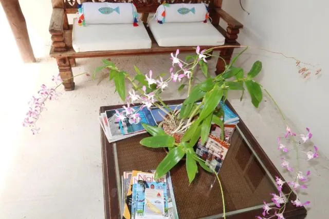  Apartment Brazil Beach Front Paradise - picture  : Other 