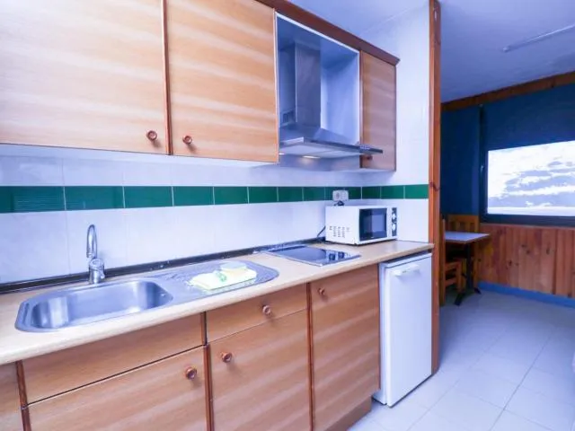  Apartaments Crest Pas - picture  : Kitchen/kitchenette 