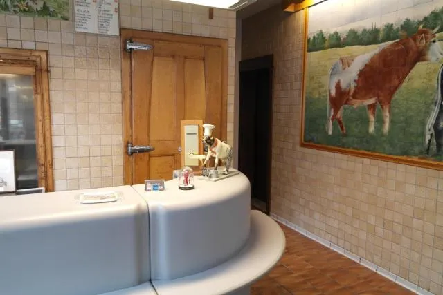  De Bonte Os Hotel & Tower - picture  : Bathroom,Lobby or reception,Property 