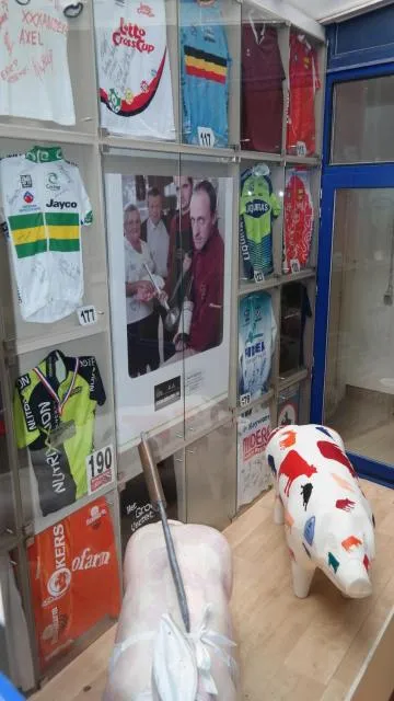  De Bonte Os Hotel & Tower - picture  : Lobby or reception,Property 