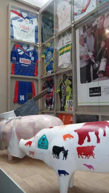  De Bonte Os Hotel & Tower - picture  : Lobby or reception,Property 