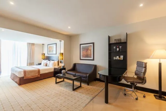  Holiday Inn Dubai Al Barsha, an IHG Hotel - picture  : Photo of the whole room,Room 