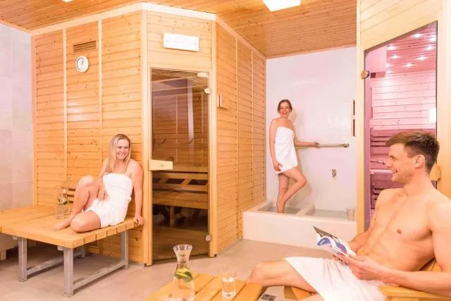  Hotel Emeran - picture  : Guests,Sauna,Property 