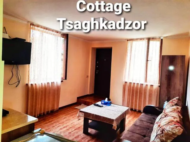  Cottage Tsaghkadzor - picture  : TV/entertainment centre,Summer,TV and multimedia,Seating area,Property 