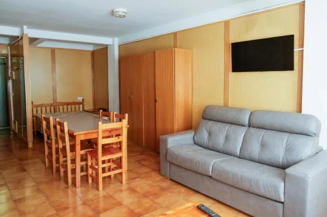  Kione Sapporo - picture  : Summer,Living room,Seating area,Dining area,wardrobe,Property 