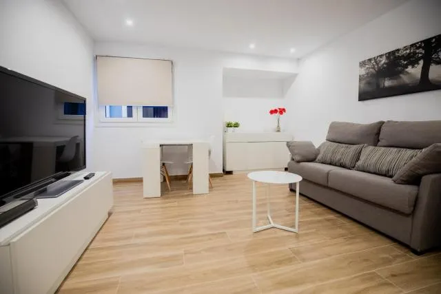  El Niu de Escaldes - picture  : Seating area,TV/entertainment centre,Living room,Property 