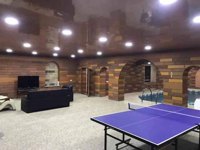  Gorgeous Villa With The Best View Of Ararat Mount - picture  : Table tennis 