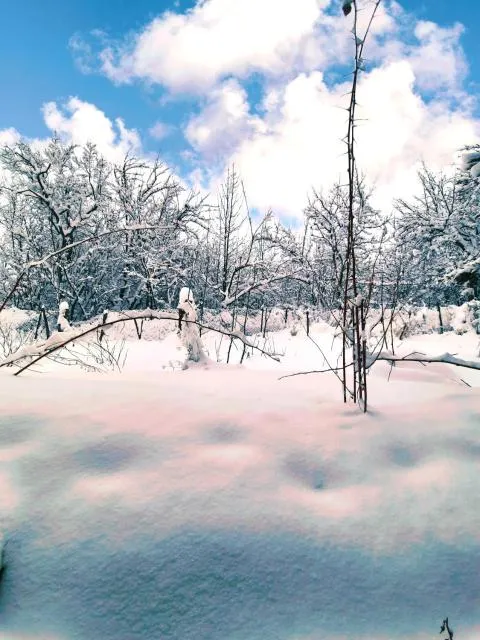  Cottage Tsaghkadzor - picture  : Shower 