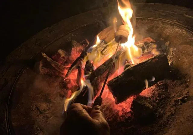  RAK Glamping - picture  : BBQ facilities,People,Activities,BBQ facilities,Evening entertainment,children,young children,older children,Property 