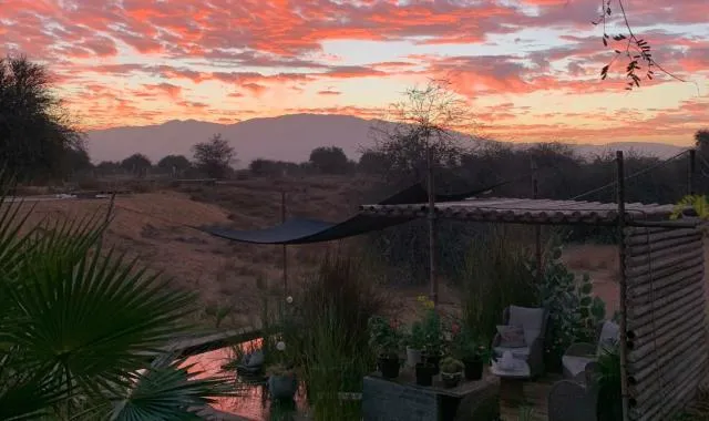  RAK Glamping - picture  : Sunrise/sunset,Natural landscape,Summer,Garden view,Sunrise,Property 