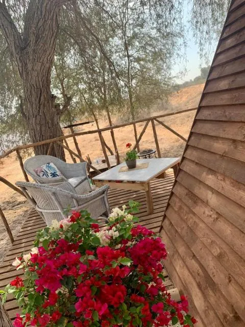  RAK Glamping - picture  : Patio,Balcony/Terrace,Property 
