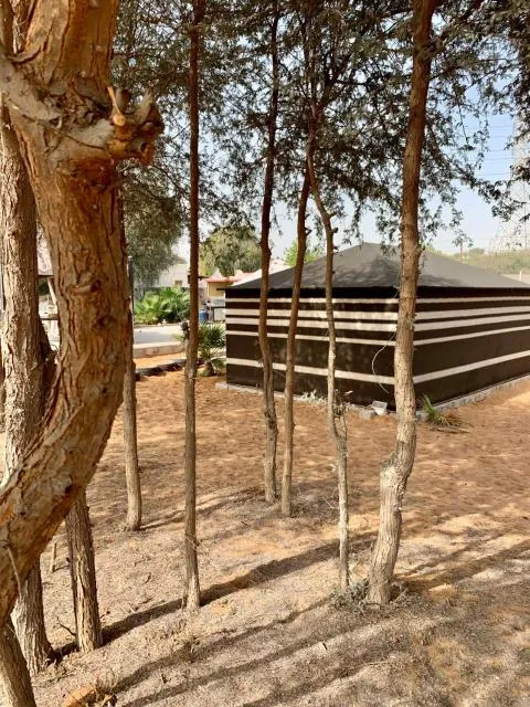 RAK Glamping - picture  : Natural landscape,Garden,Property 