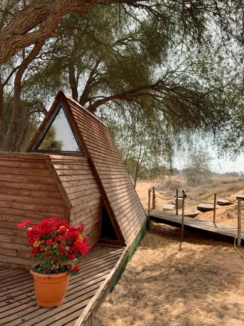  RAK Glamping - picture  : Patio,Natural landscape,View (from property/room),Garden view,Property 