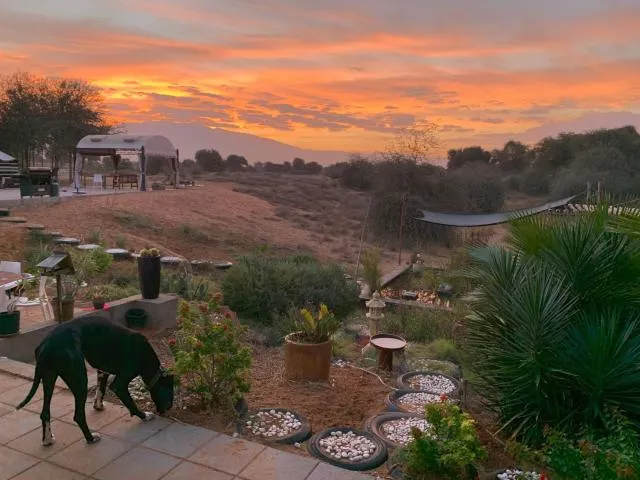  RAK Glamping - picture  : Natural landscape,Garden,Sunrise,Property 