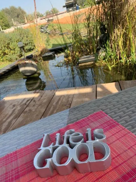  RAK Glamping - picture  : Natural landscape,Garden,Property 