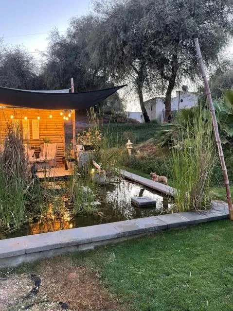  RAK Glamping - picture  : Garden,Evening entertainment,Pets,Property 