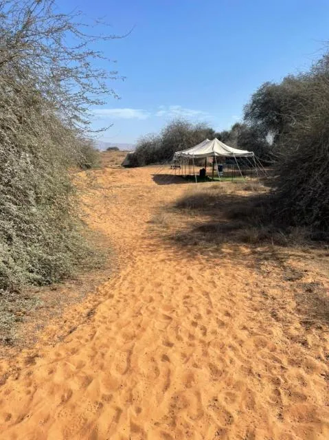  RAK Glamping - picture  : Natural landscape,Mountain view,Property 