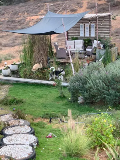  RAK Glamping - picture  : Garden,Summer,Garden,Pets,Property 