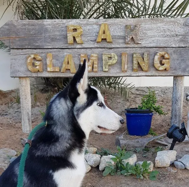  RAK Glamping - picture  : Facade/entrance,Pets,Property 