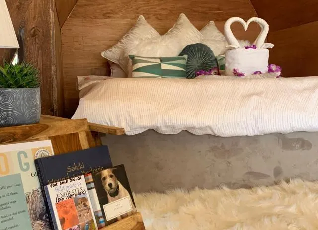  RAK Glamping - picture  : Bed,Bed,Summer,Bedroom,Property,Room 