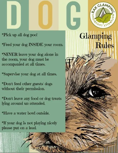  RAK Glamping - picture  : Summer,Pets 