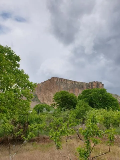  Areni House B&B - picture  : Natural landscape,Mountain view 