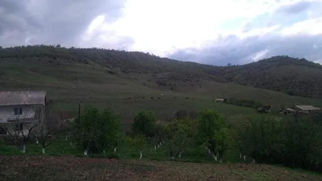  AMOJ B&B and Guest house - picture  : Mountain view 