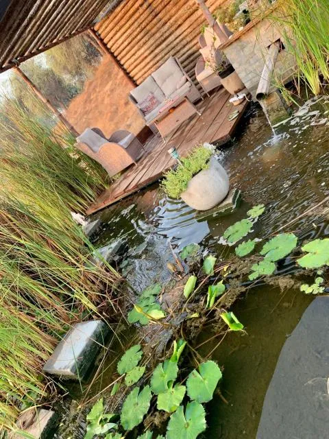  RAK Glamping - picture  : Garden,Property 