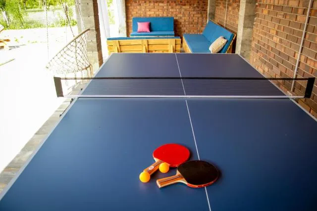  Holiday Home Faruk - picture  : Table tennis 