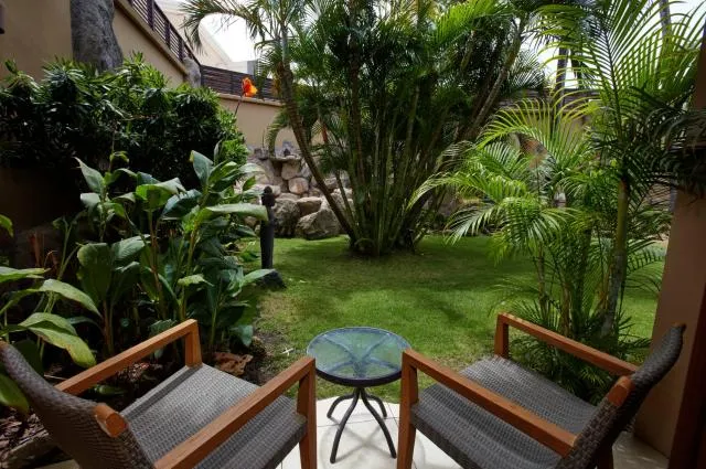  Manchebo Beach Resort and Spa - picture  : Balcony/Terrace,Garden view,Property 