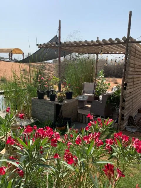  RAK Glamping - picture  : Natural landscape,Garden,Other,Seating area,Property 