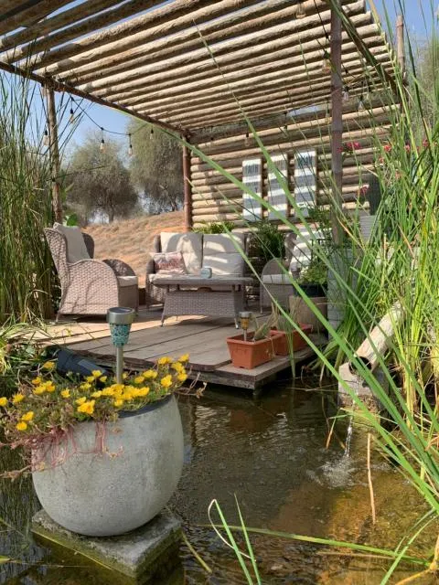  RAK Glamping - picture  : Patio,Garden,Seating area,Property 