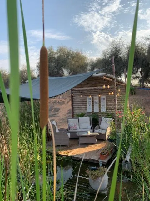  RAK Glamping - picture  : Natural landscape,Garden,Seating area,Property 