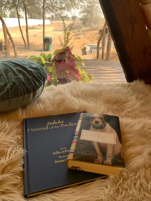  RAK Glamping - picture  : Summer,View (from property/room),Property 