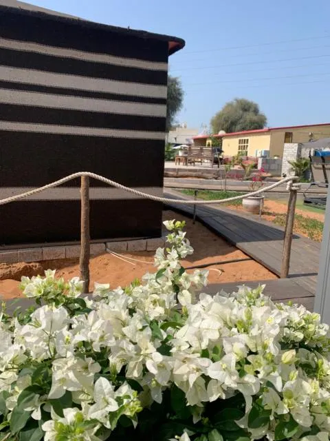  RAK Glamping - picture  : Property building,Seating area,Property 