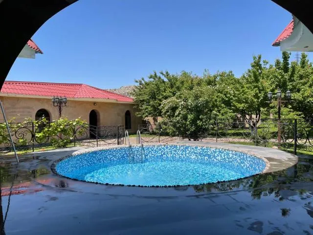  Gorgeous Villa With The Best View Of Ararat Mount - picture  : Swimming pool 