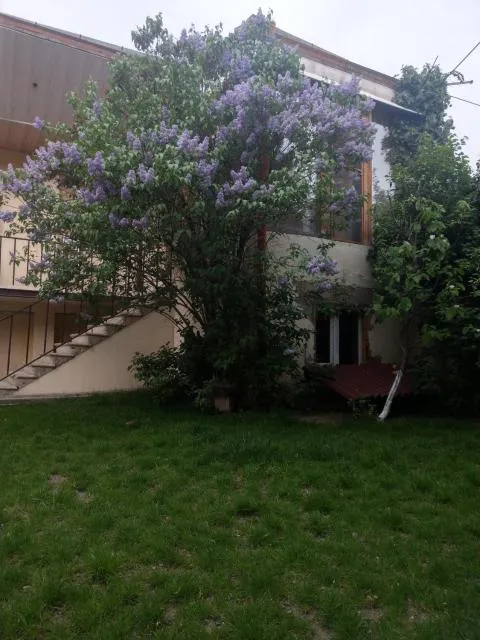  Popock City Center - picture  : Garden,Property building 