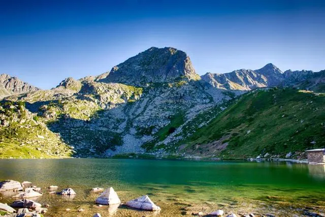  Cal Ruiz - picture  : Natural landscape,Summer,Property 