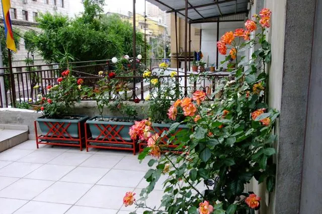  Yerevan center apartment 5A - picture  : Balcony/Terrace,Property 