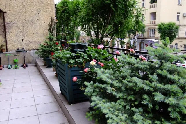  Yerevan center apartment 5A - picture  : Balcony/Terrace,Property 