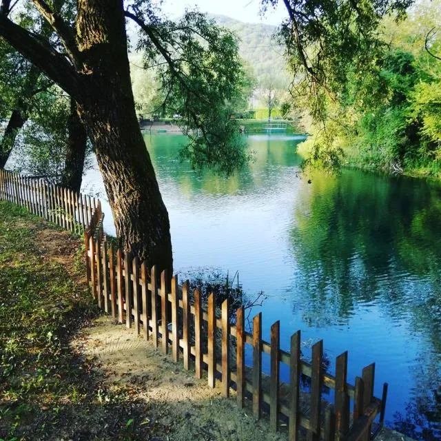  Kuca Delić - picture  : Natural landscape,Summer,Property 