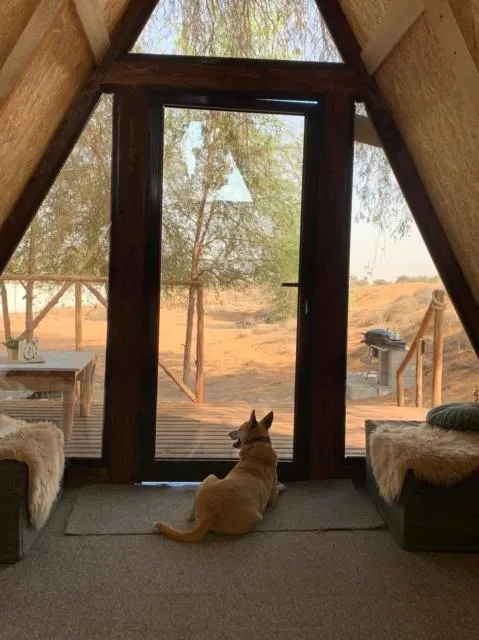  RAK Glamping - picture  : View (from property/room),Animals,Bedroom,Pets,Garden view,Property 