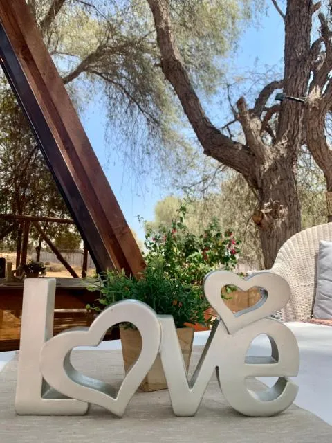  RAK Glamping - picture  : Balcony/Terrace,Property 